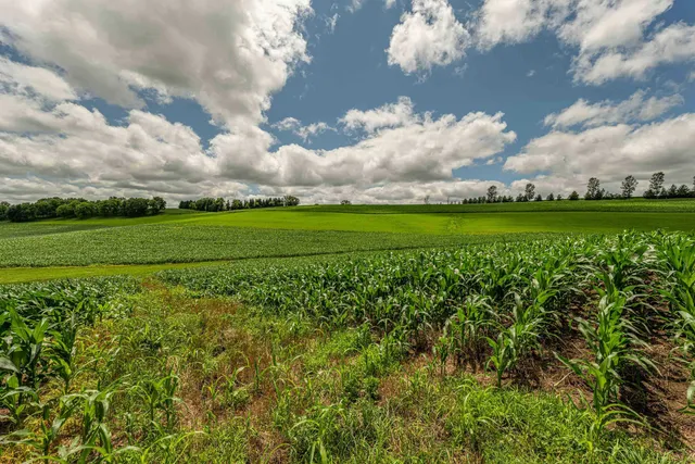 $313,942 | Lot 8 11.65 Acres Hefty, Monticello, WI 53570