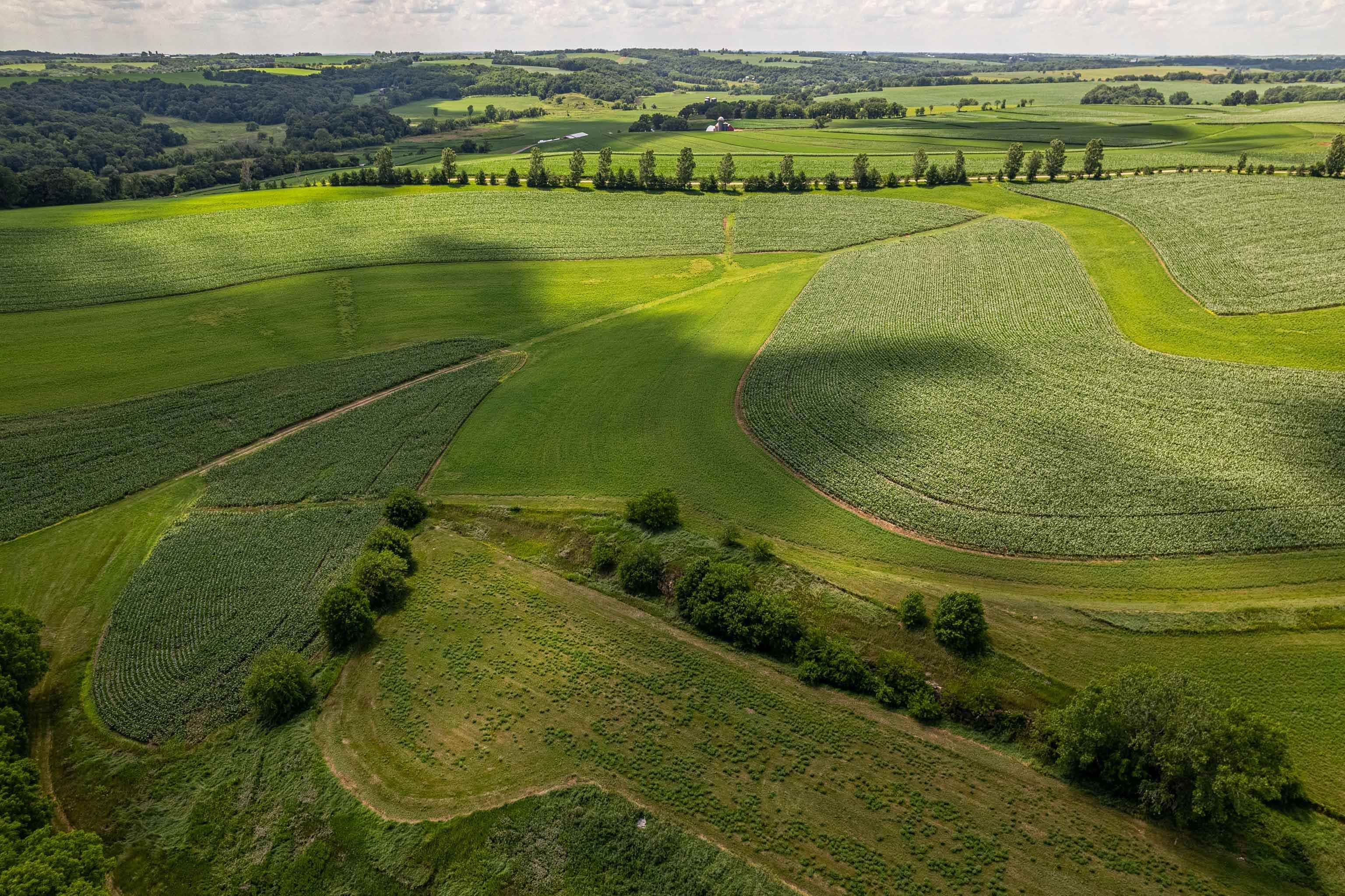 Lot 8 11.65 Acres Hefty Monticello, WI 53570 - Photo 10 of 18