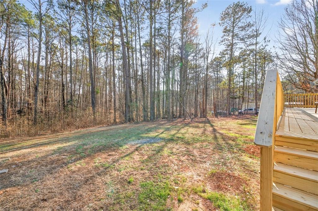 729 Hickory Nut Way Monroe, GA 30655 - Photo 27 of 28