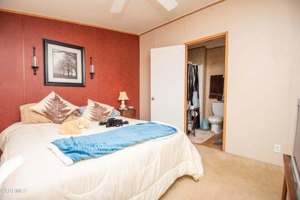 699 Lowes Gap Road Spring City, TN 37381 - Photo 22 of 41 Gallery Image 22