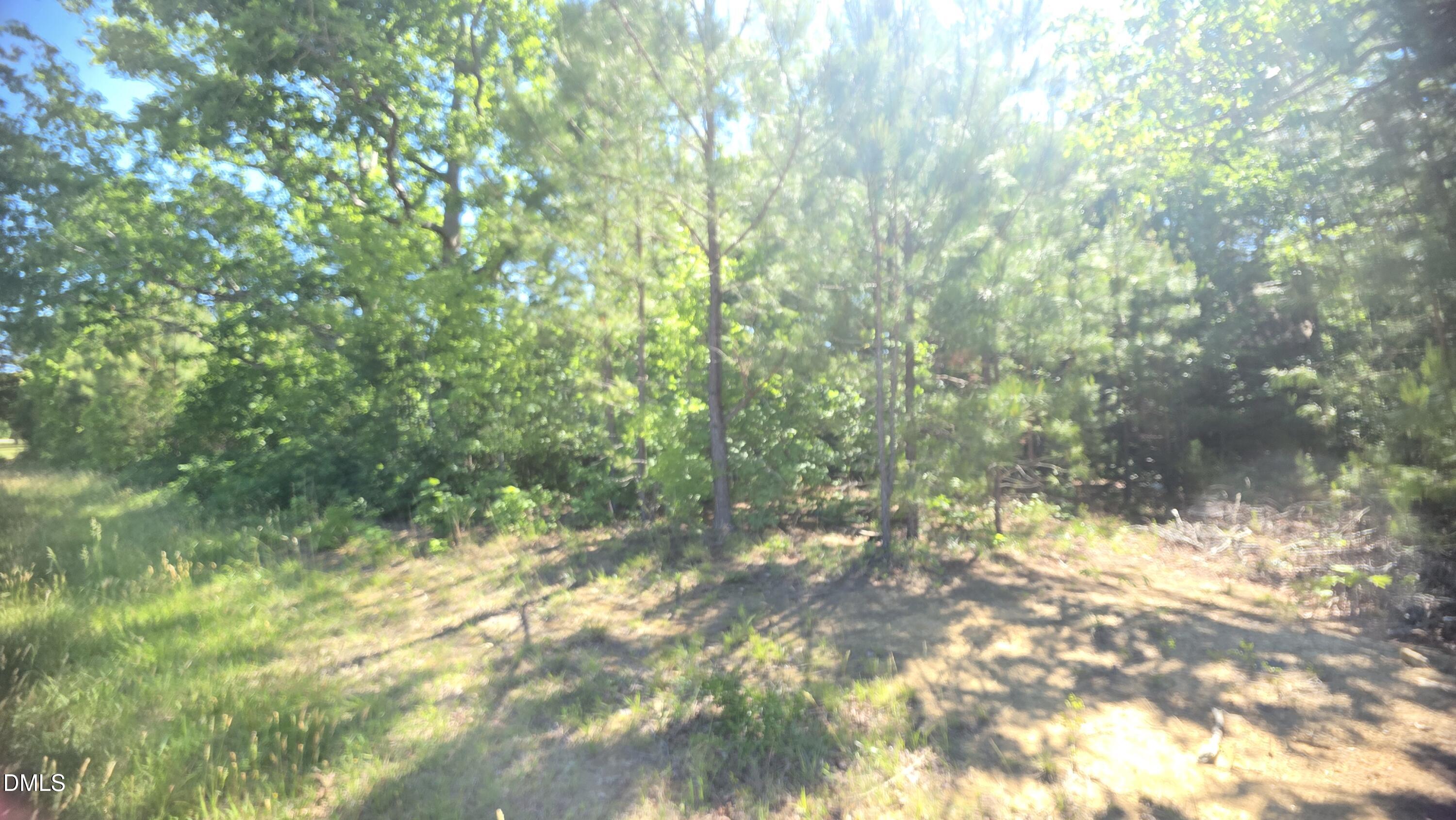 0 Laurel Mill Road Louisburg, NC 27549 - Photo 3 of 24