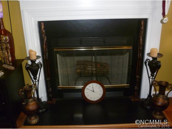 327 Running Briar Road Fletcher, NC 28732 - Photo 15 of 24 Gallery Image 15