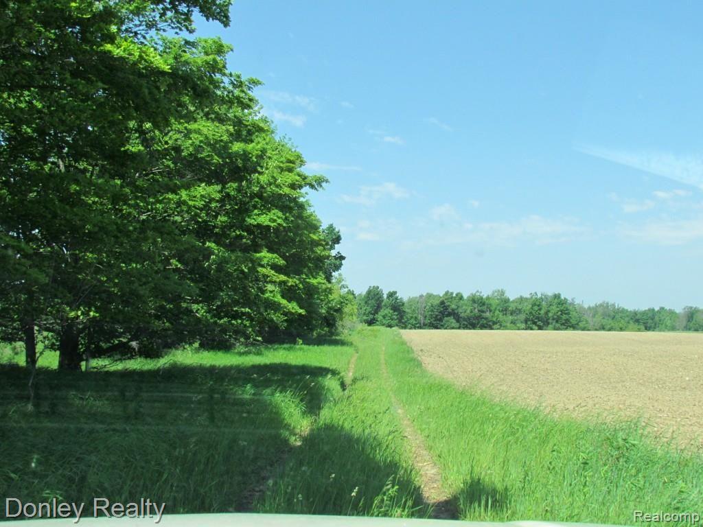 9999 Phillips Road Clifford, MI 48727 - Photo 2 of 12