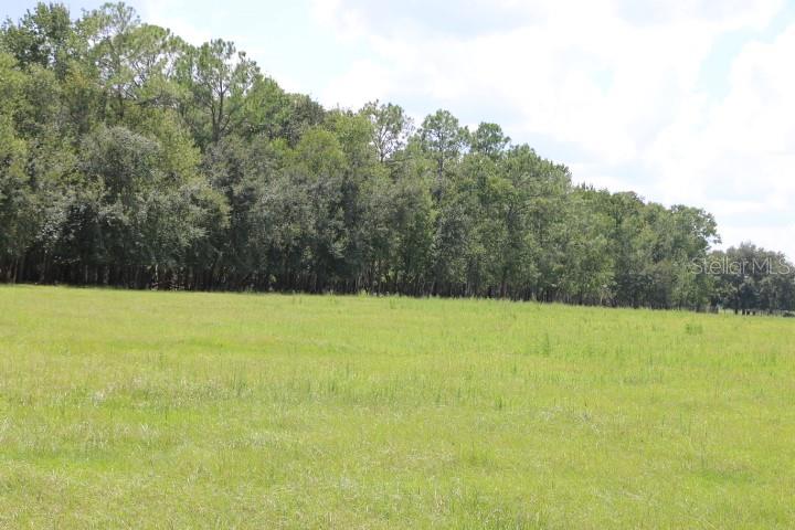 Green Swamp Road Clermont, FL 34714 - Photo 1 of 55 a view of outdoor space and yard