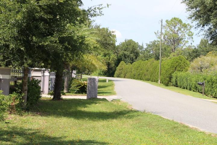 Green Swamp Road Clermont, FL 34714 - Photo 14 of 55 a view of a park with large trees