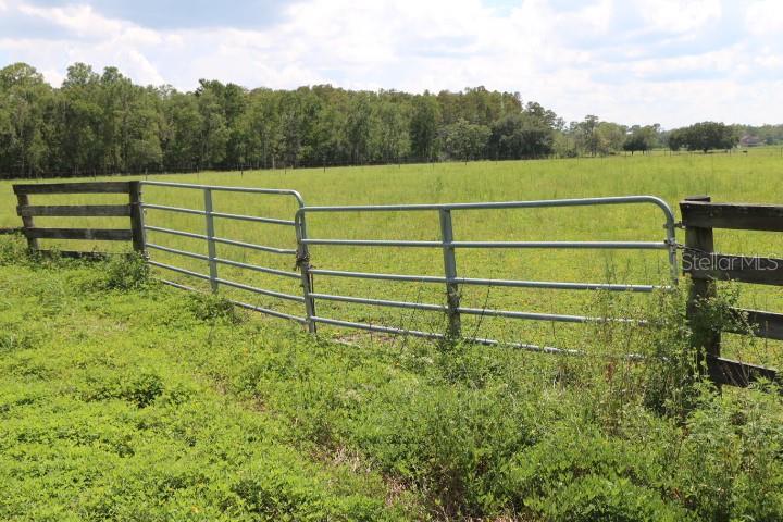 Green Swamp Road Clermont, FL 34714 - Photo 15 of 55 a view of a garden with outdoor space