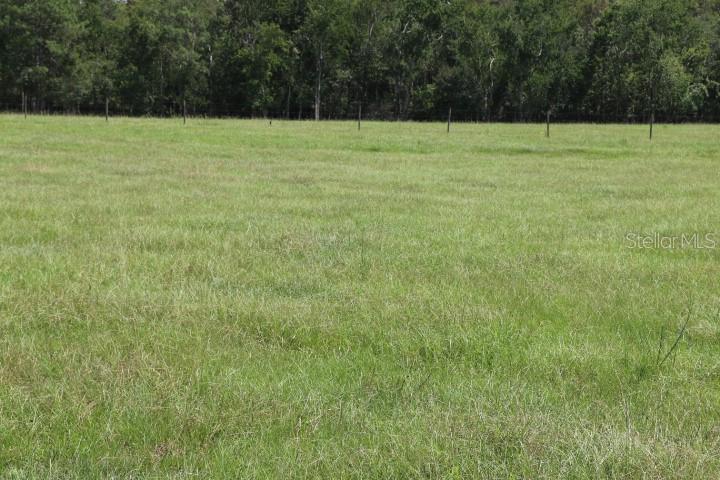 Green Swamp Road Clermont, FL 34714 - Photo 17 of 55 a view of outdoor space with a field and trees