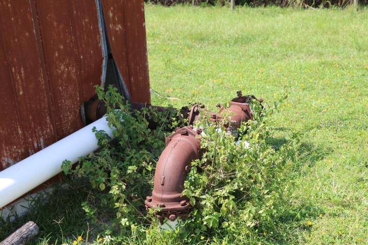 Green Swamp Road Clermont, FL 34714 - Photo 19 of 55 a view of a garden with plants and wooden fence