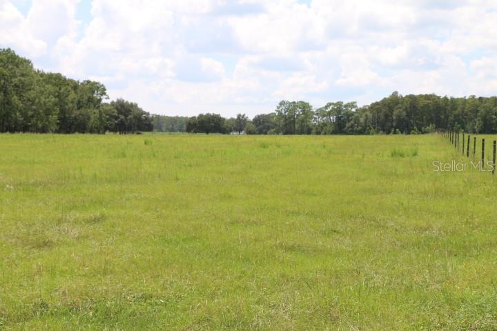 Green Swamp Road Clermont, FL 34714 - Photo 2 of 55