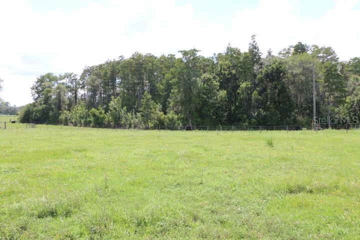 Green Swamp Road Clermont, FL 34714 - Photo 21 of 55 a view of a field of grass and trees