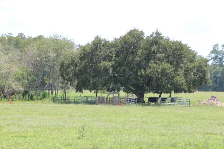 Green Swamp Road Clermont, FL 34714 - Photo 23 of 55 a view of a park with large trees
