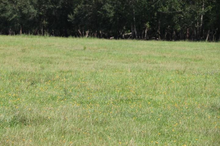 Green Swamp Road Clermont, FL 34714 - Photo 26 of 55