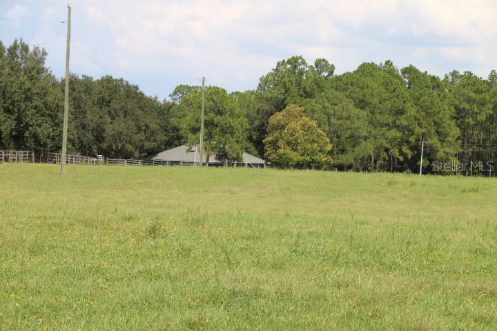 Green Swamp Road Clermont, FL 34714 - Photo 28 of 55 a view of a field with trees in the background