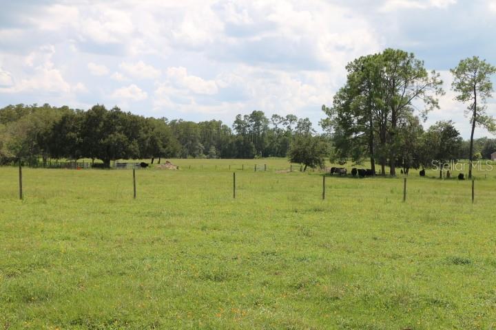 Green Swamp Road Clermont, FL 34714 - Photo 29 of 55 a view of a golf course with a park