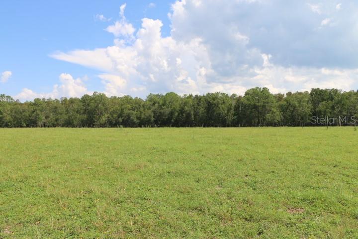 Green Swamp Road Clermont, FL 34714 - Photo 34 of 55 a view of a garden and basketball court