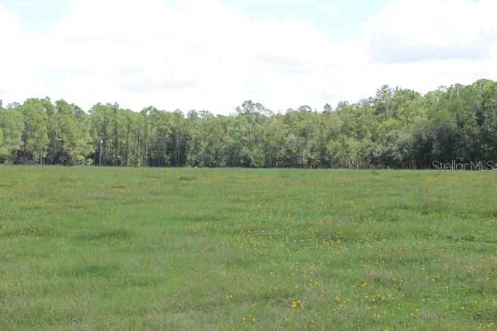 Green Swamp Road Clermont, FL 34714 - Photo 37 of 55 a view of a field with trees in the background