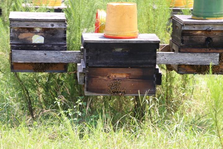 Green Swamp Road Clermont, FL 34714 - Photo 39 of 55 a fireplace with a clock on top of it