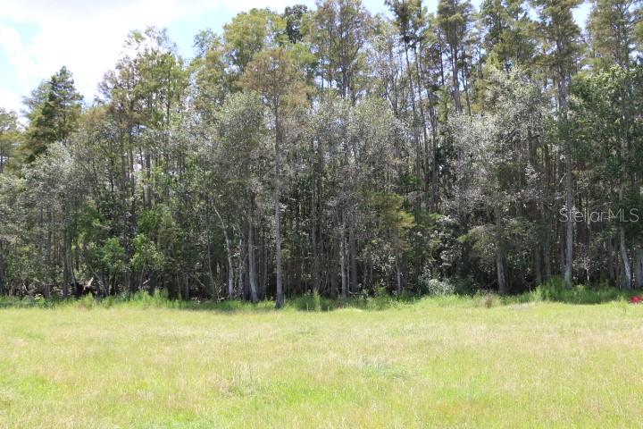 Green Swamp Road Clermont, FL 34714 - Photo 43 of 55