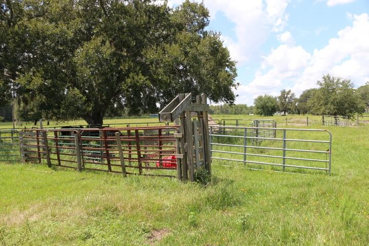 Green Swamp Road Clermont, FL 34714 - Photo 45 of 55 a view of a park with wooden fence
