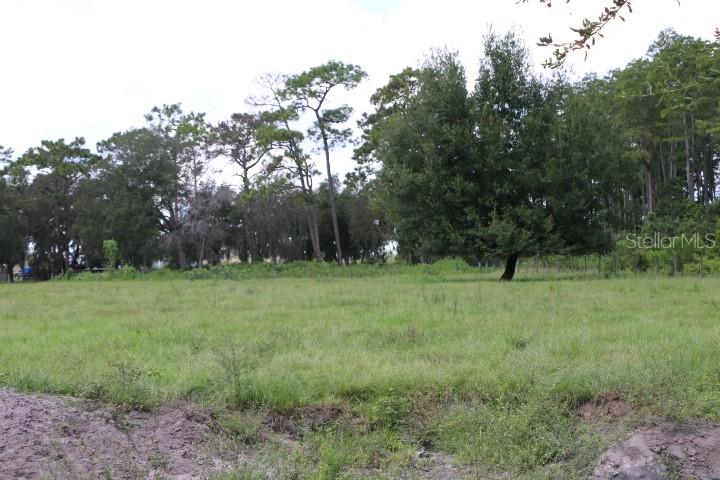 Green Swamp Road Clermont, FL 34714 - Photo 51 of 55 a view of outdoor space with deck and yard