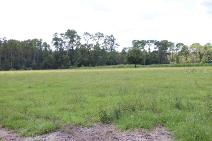 Green Swamp Road Clermont, FL 34714 - Photo 52 of 55 a view of field with trees in the background