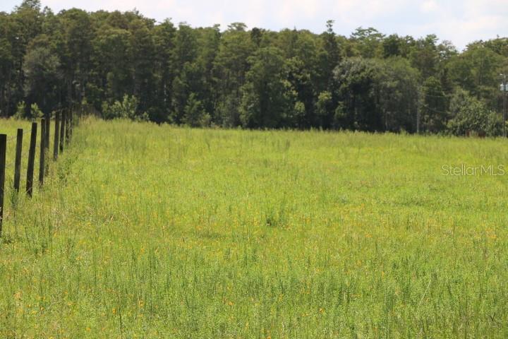 Green Swamp Road Clermont, FL 34714 - Photo 7 of 55 a view of a lake view