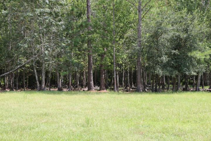 Green Swamp Road Clermont, FL 34714 - Photo 8 of 55