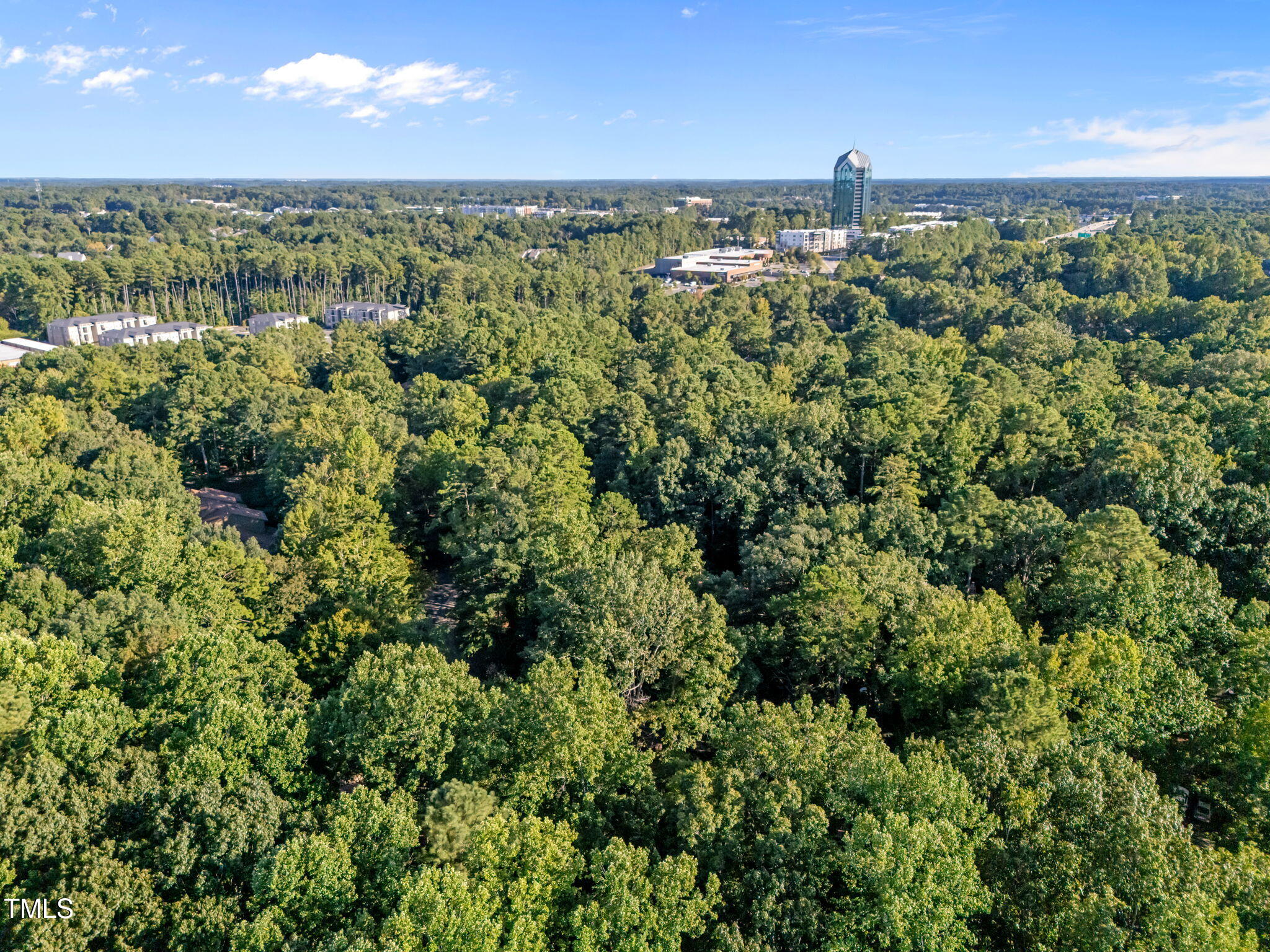 73 Stoneridge Road Durham, NC 27705 - Photo 10 of 44 10-web-or-mls-DJI_20250902174358_0024_D