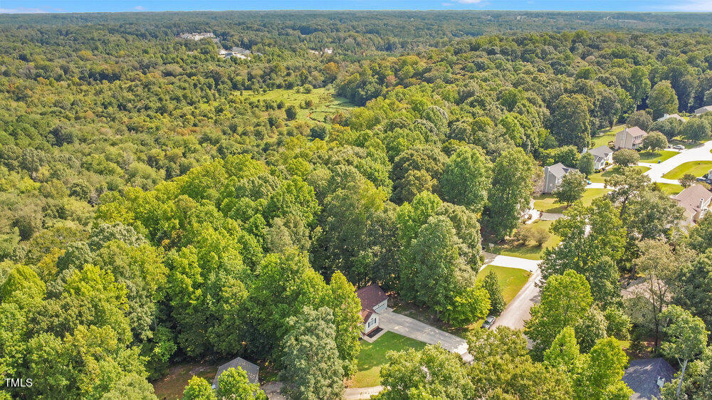 6205 Silver Spring Court Willow Spring, NC 27592 - Photo 29 of 32 Aerial 4