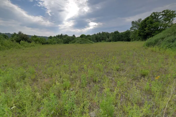 $750,000 | 120 Richardson Road, Barre Town, VT 05641
