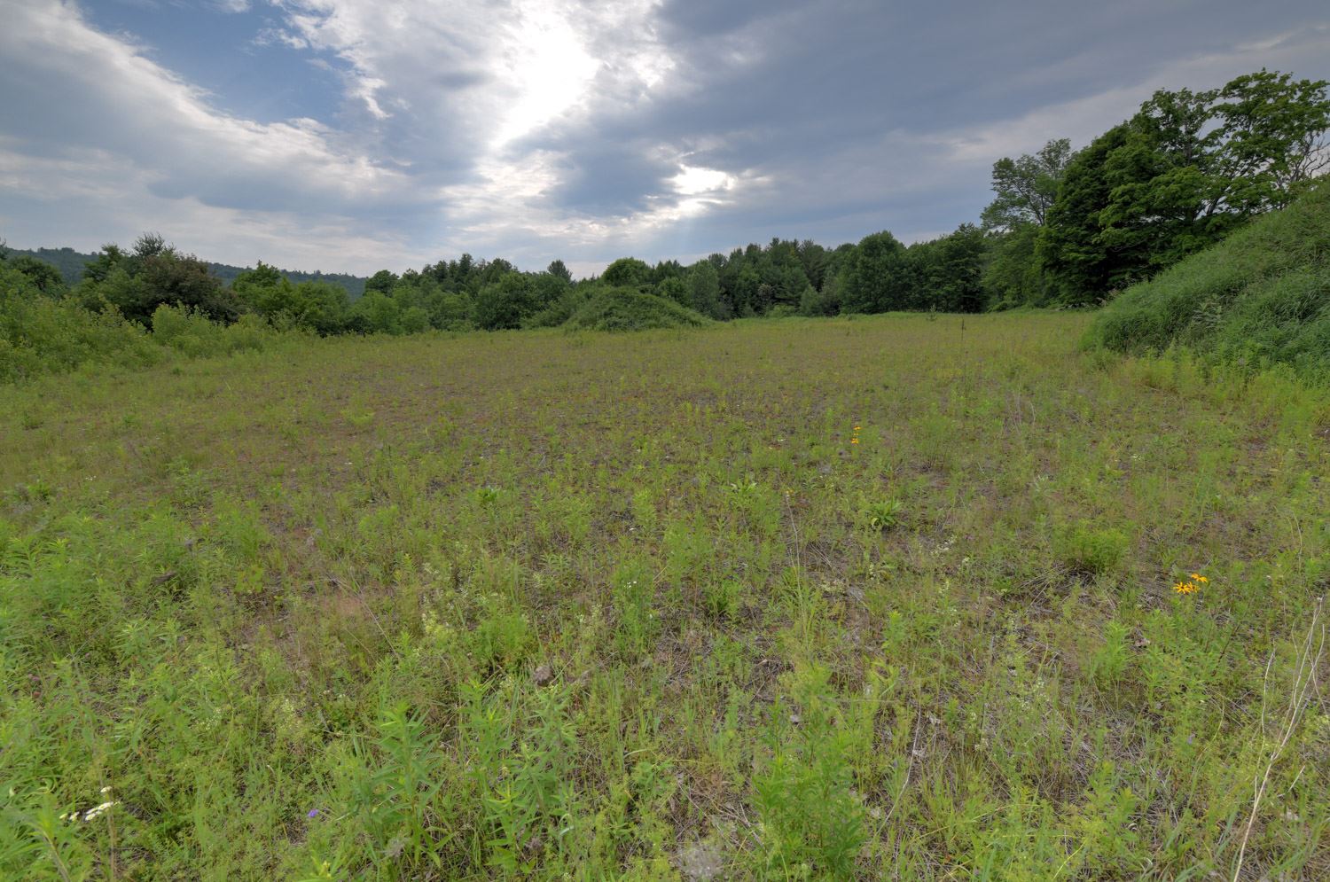 120 Richardson Road Barre Town, VT 05641 - Photo 21 of 46