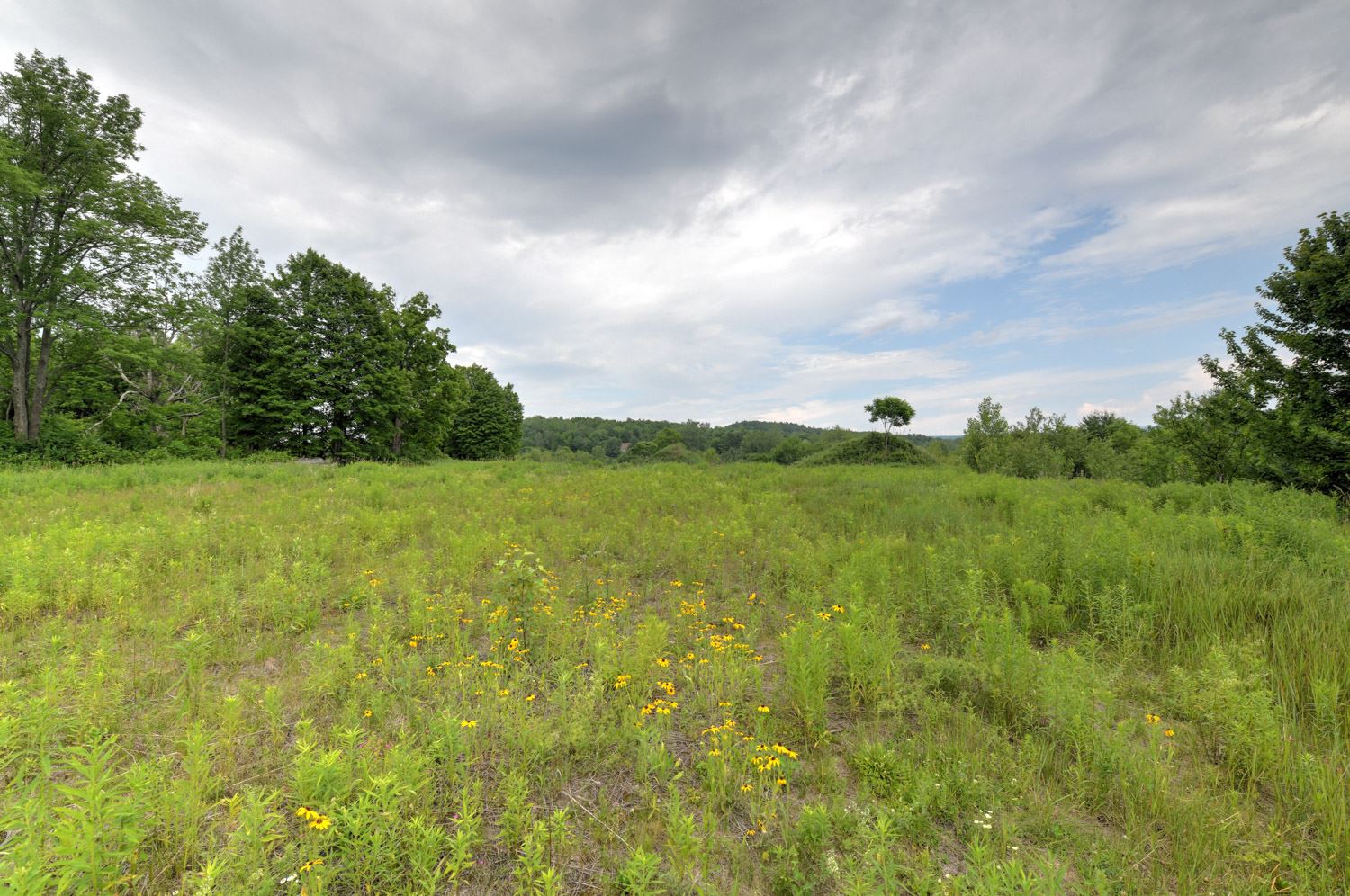 120 Richardson Road Barre Town, VT 05641 - Photo 27 of 46