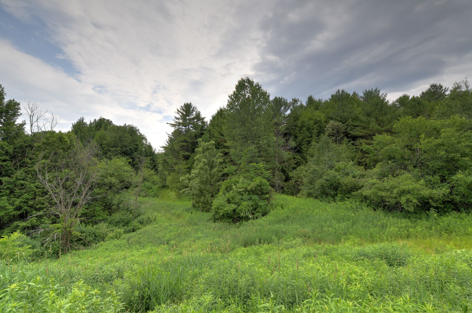 120 Richardson Road Barre Town, VT 05641 - Photo 28 of 46
