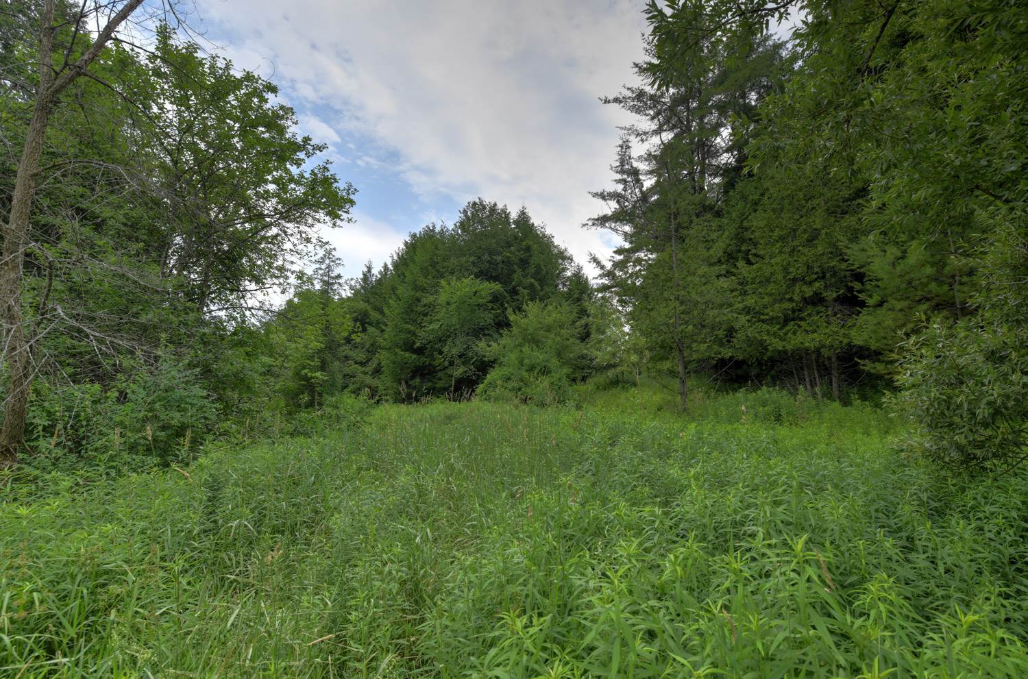 120 Richardson Road Barre Town, VT 05641 - Photo 30 of 46