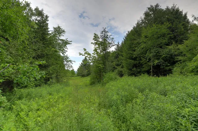 $750,000 | 120 Richardson Road, Barre Town, VT 05641