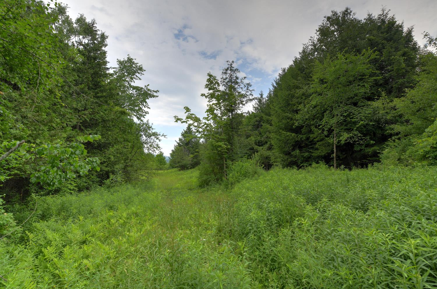 120 Richardson Road Barre Town, VT 05641 - Photo 31 of 46