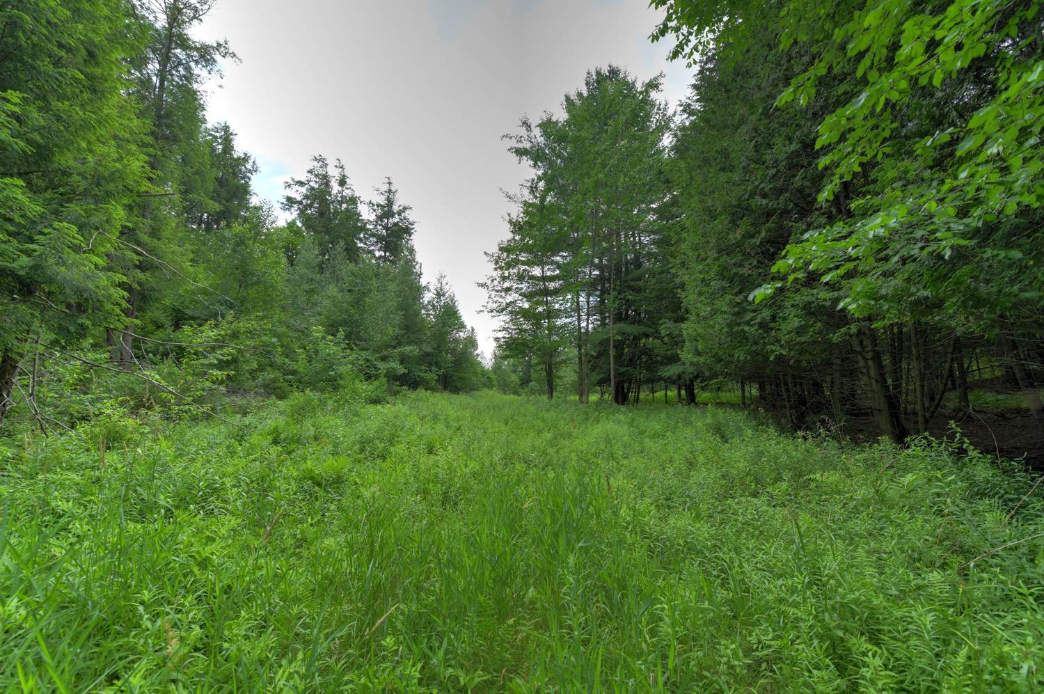 120 Richardson Road Barre Town, VT 05641 - Photo 32 of 46