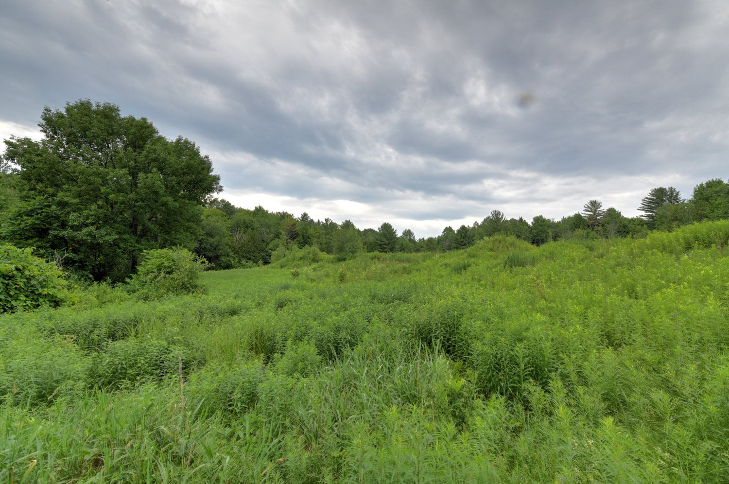 120 Richardson Road Barre Town, VT 05641 - Photo 34 of 46