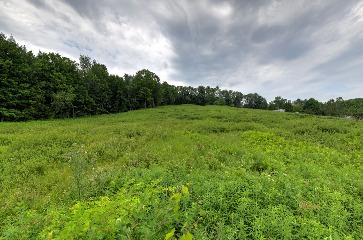 120 Richardson Road Barre Town, VT 05641 - Photo 7 of 46