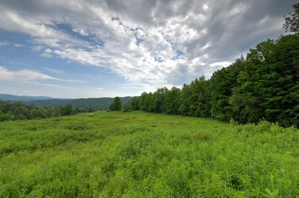 $750,000 | 120 Richardson Road, Barre Town, VT 05641