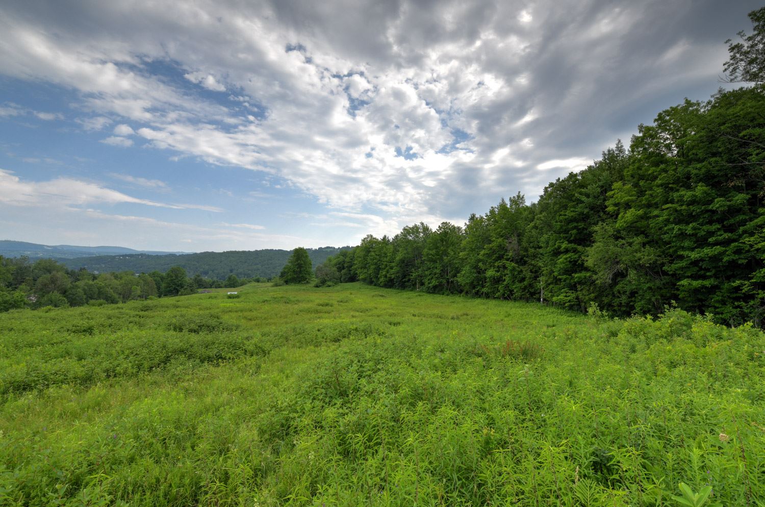 120 Richardson Road Barre Town, VT 05641 - Photo 8 of 46