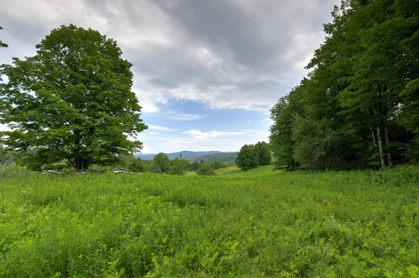 $750,000 | 120 Richardson Road, Barre Town, VT 05641