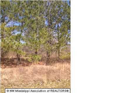 24 Johnston Road Hernando, MS 38632 - Photo 2 of 5 Additional Photo