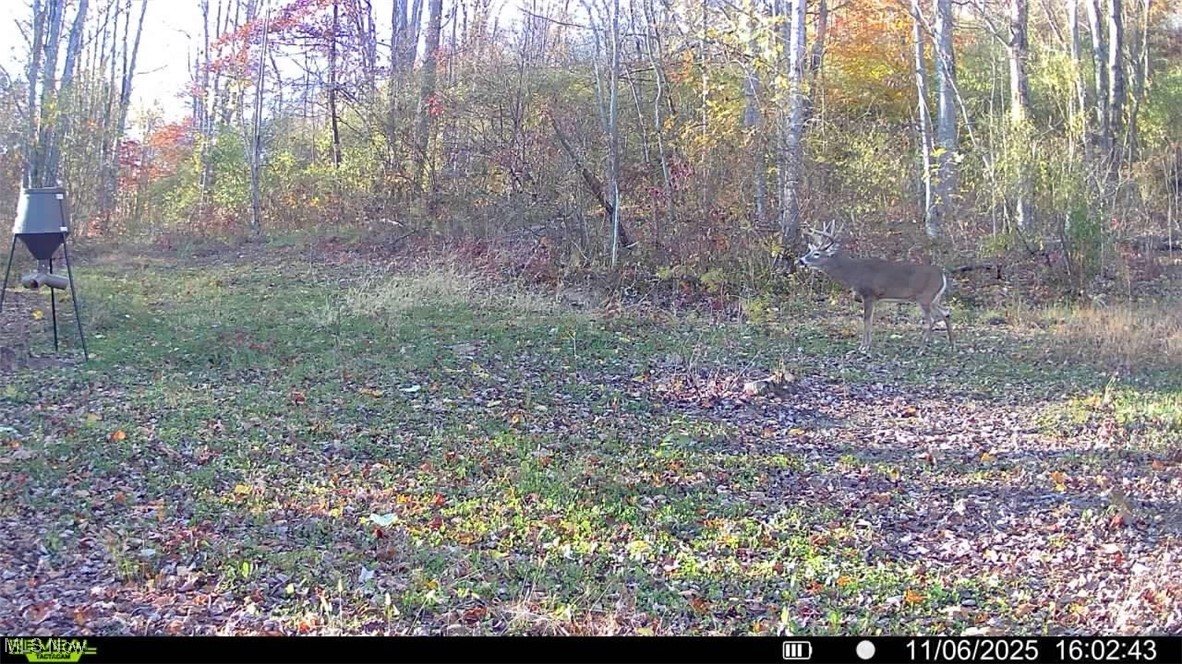 Brown Peavine Road Alledonia, OH 43902 - Photo 43 of 50