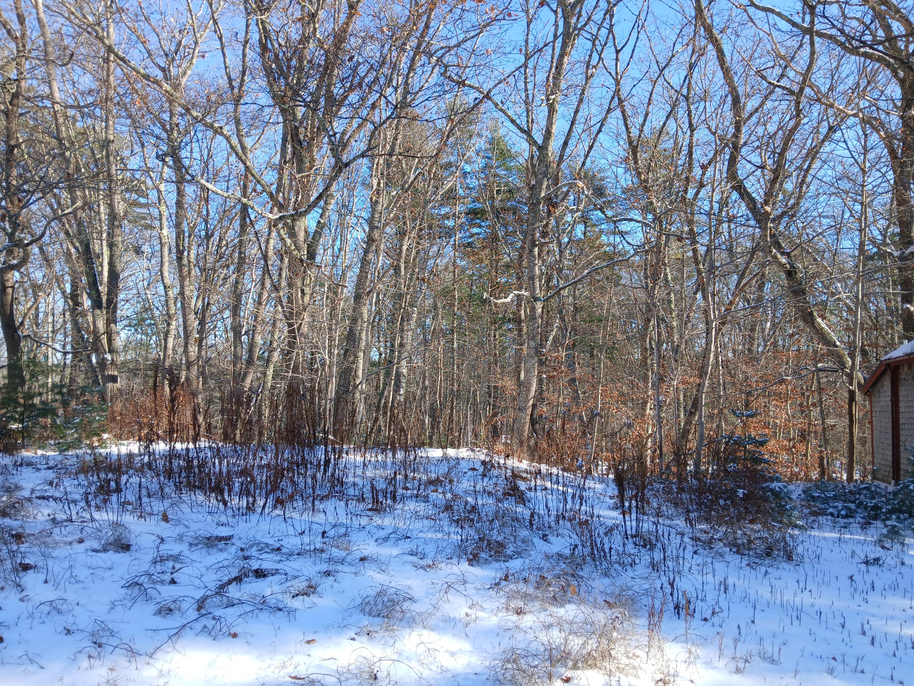 28 Bay Point Road Georgetown, ME 04548 - Photo 8 of 25 20251203_114456