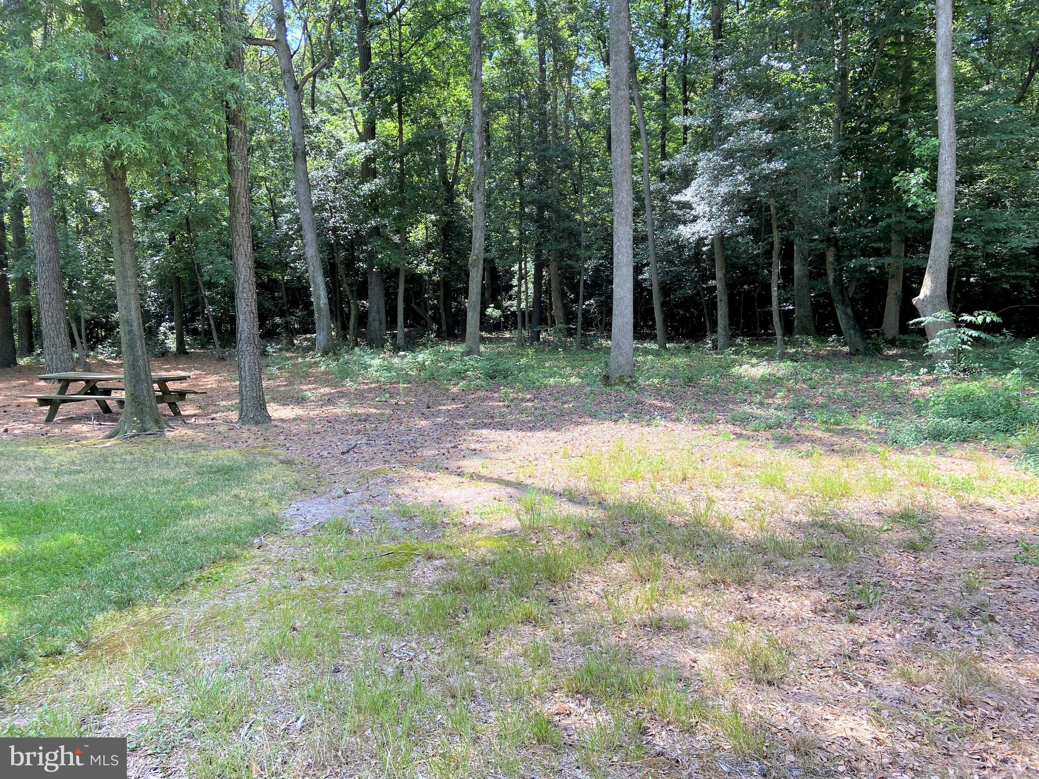 14278 Trap Pond Road Laurel, DE 19956 - Photo 25 of 26 Gallery Image 25