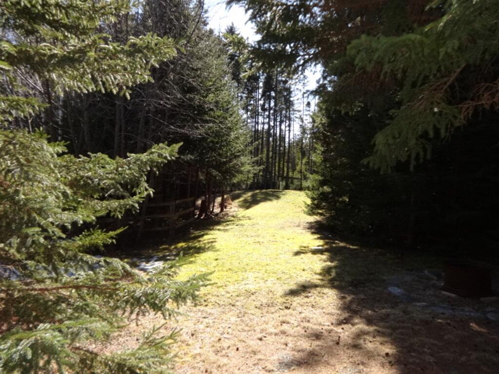 15 Weir Road Bernard, ME 04612 - Photo 29 of 30 yard (2)