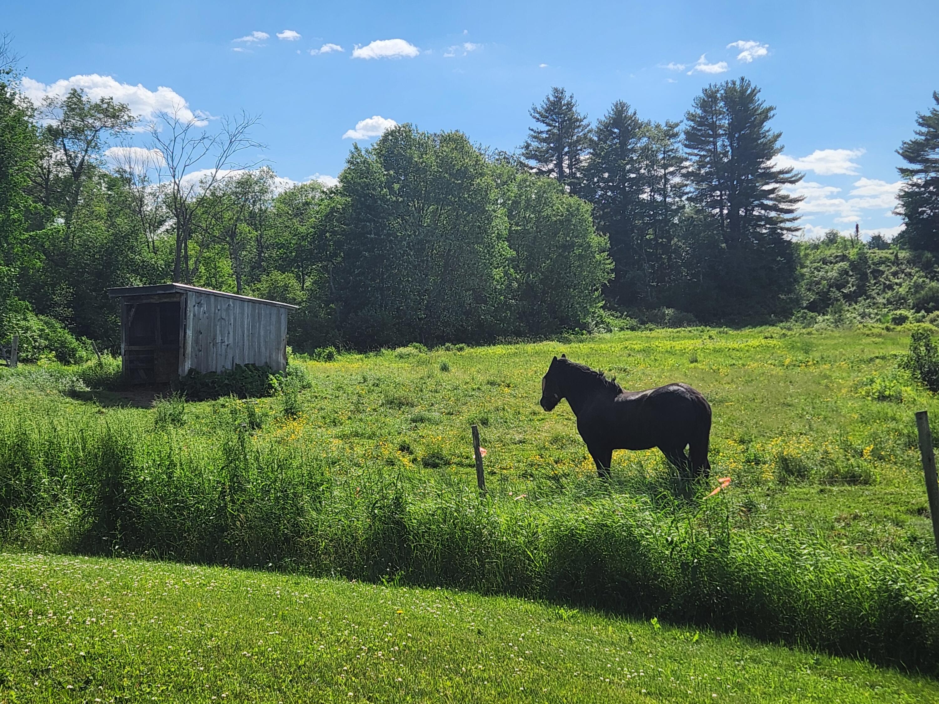 643 Dirigo Road China, ME 04358 - Photo 15 of 35 20240615_161511