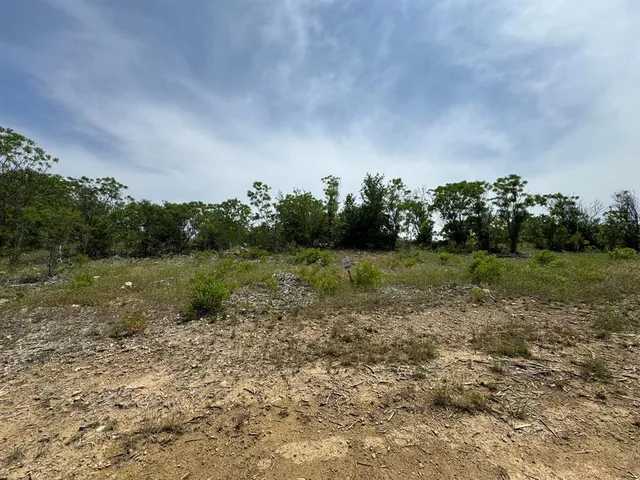 a view of a grassy field with trees in the background