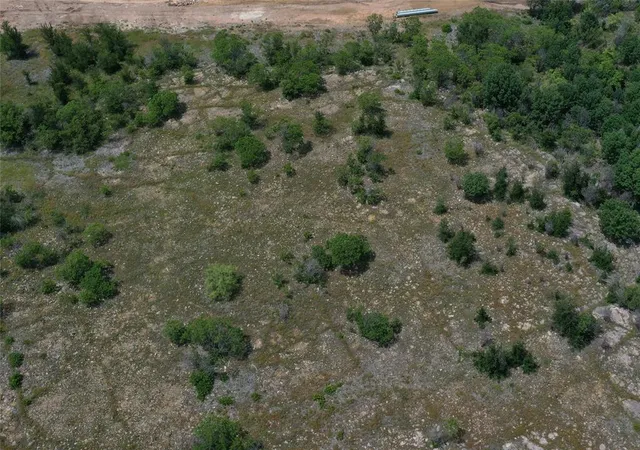 a view of a forest with trees all around